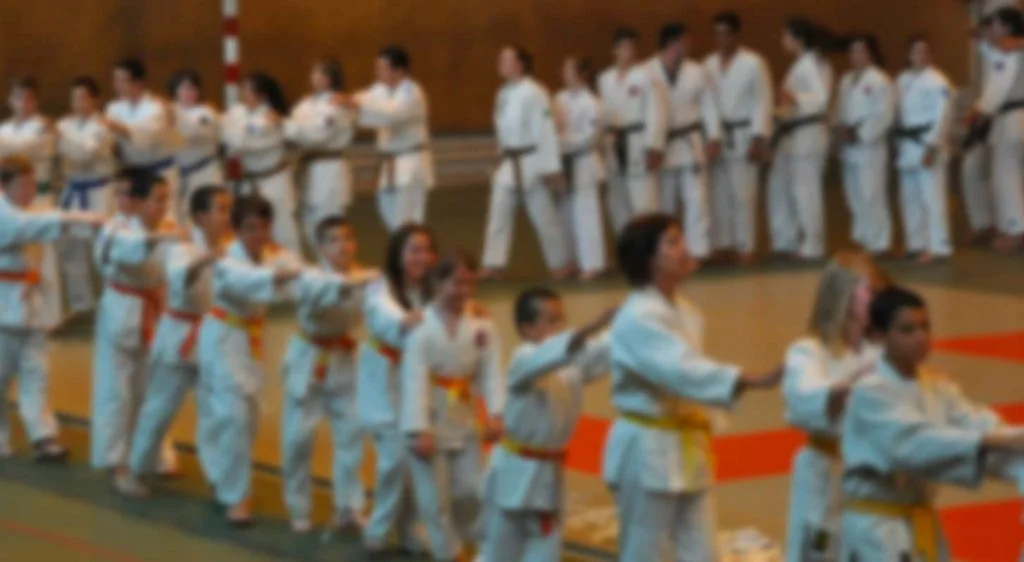 Fête du Judo